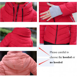 Short Padded Cotton Winter Coat With Stand Collar & Hood